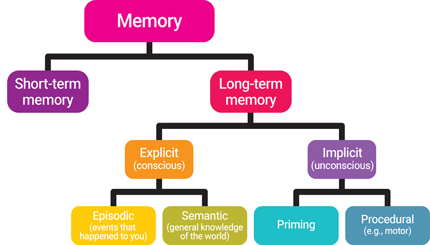 “types of memory neuroscience”的图片搜索结果